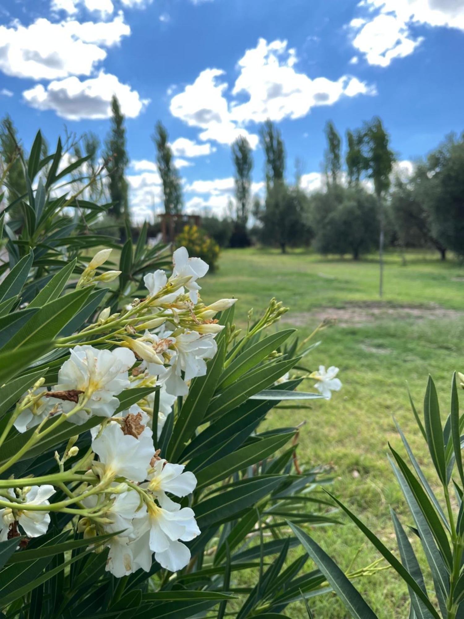 Finca La Calma 圣拉斐尔 外观 照片